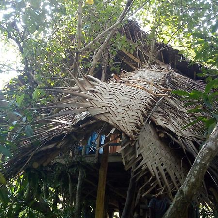 Mermaid Cabana And Tree Houses Tangalle Exteriör bild