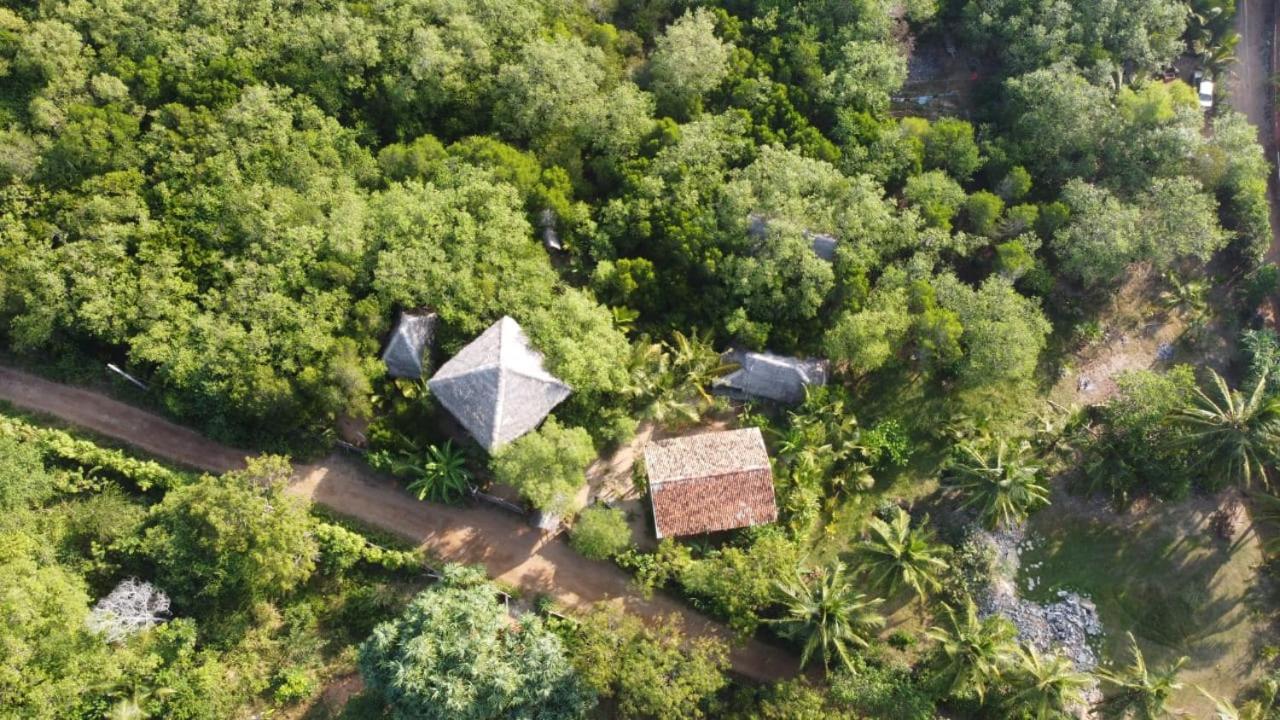 Mermaid Cabana And Tree Houses Tangalle Rum bild
