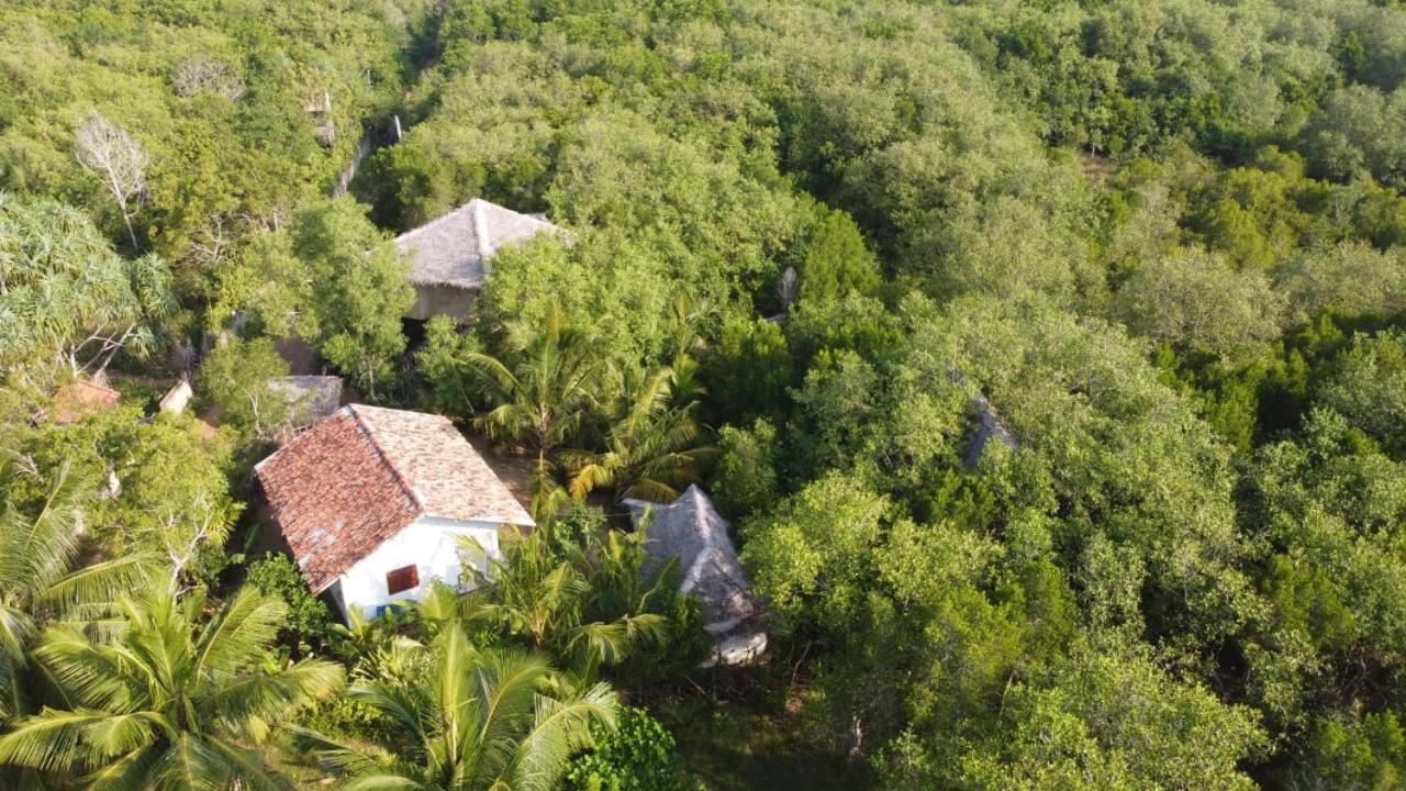Mermaid Cabana And Tree Houses Tangalle Rum bild