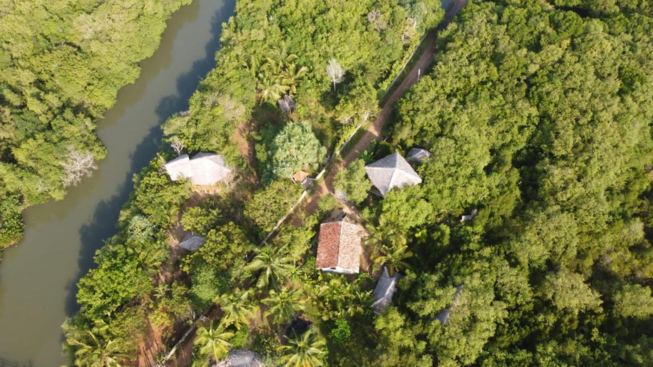 Mermaid Cabana And Tree Houses Tangalle Rum bild