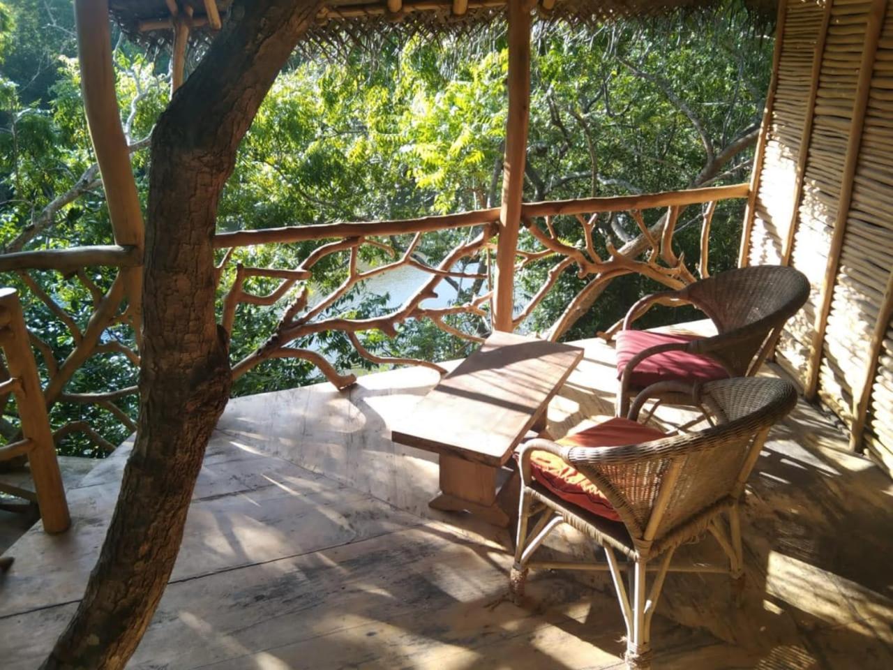 Mermaid Cabana And Tree Houses Tangalle Rum bild