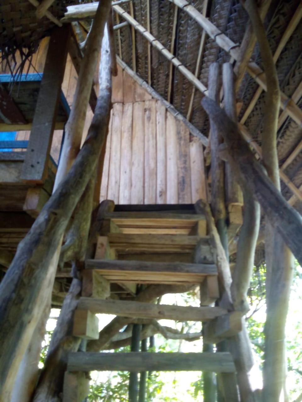 Mermaid Cabana And Tree Houses Tangalle Rum bild