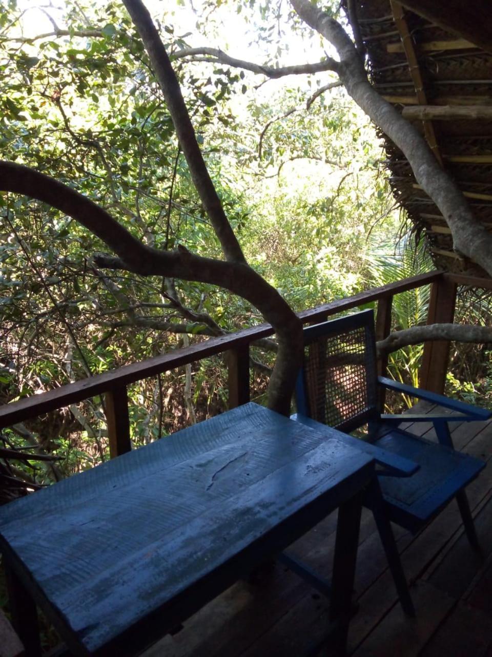 Mermaid Cabana And Tree Houses Tangalle Rum bild