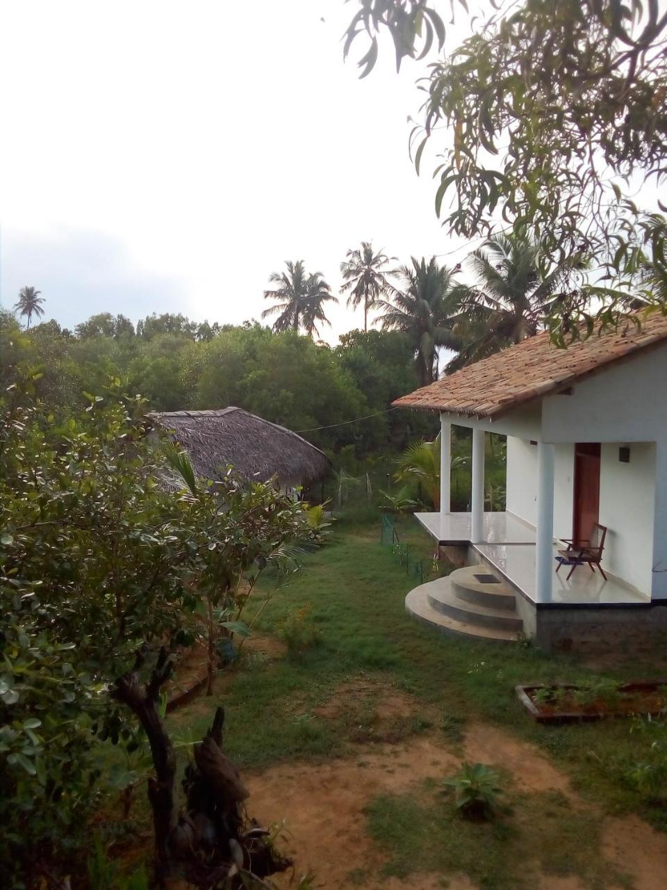 Mermaid Cabana And Tree Houses Tangalle Exteriör bild