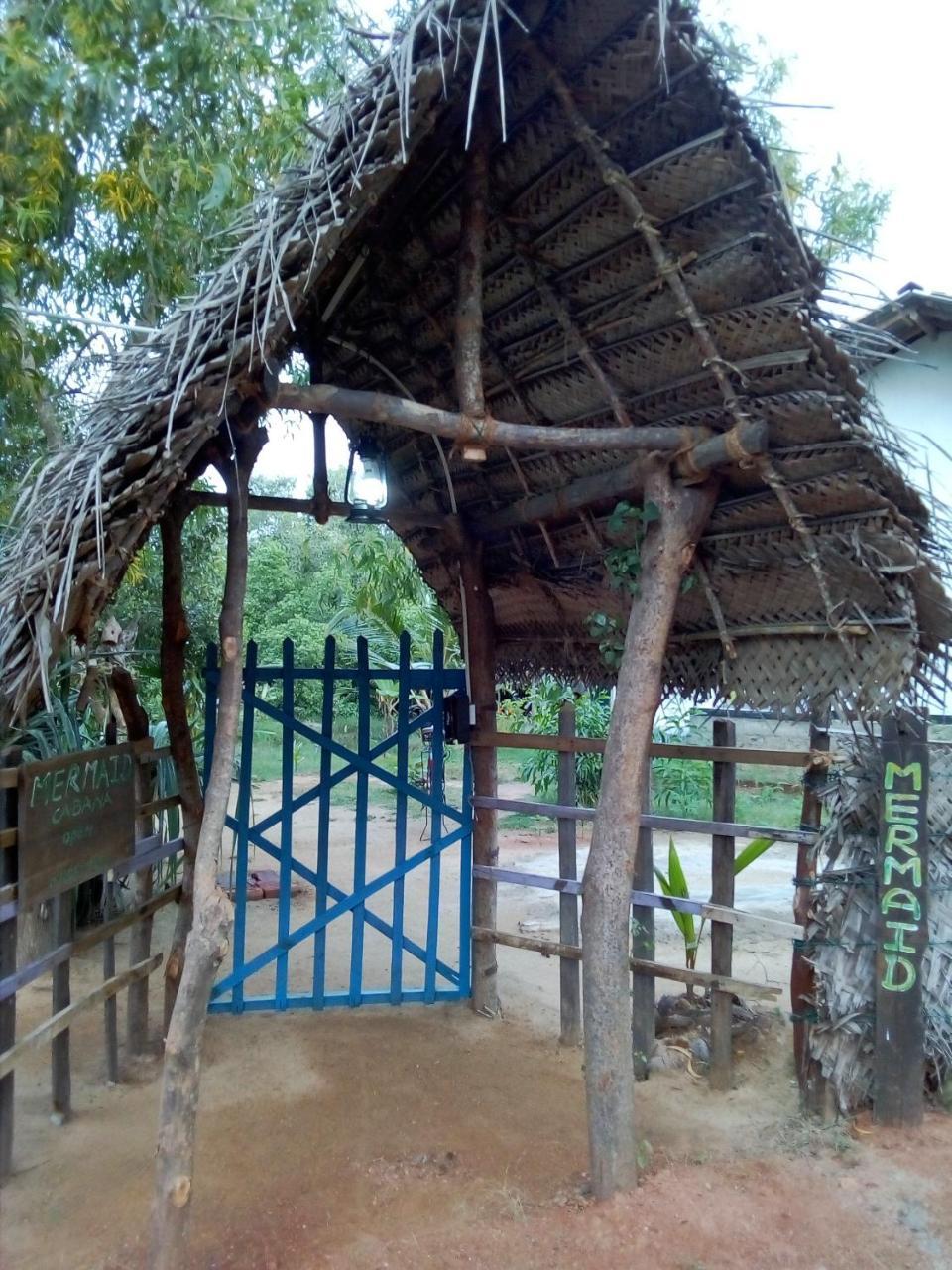Mermaid Cabana And Tree Houses Tangalle Exteriör bild