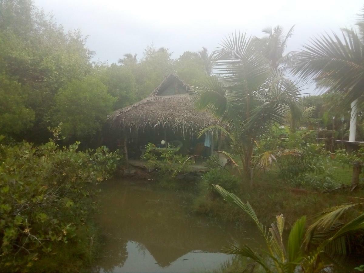 Mermaid Cabana And Tree Houses Tangalle Exteriör bild