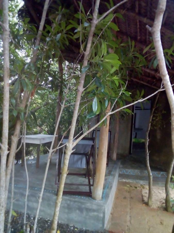 Mermaid Cabana And Tree Houses Tangalle Exteriör bild