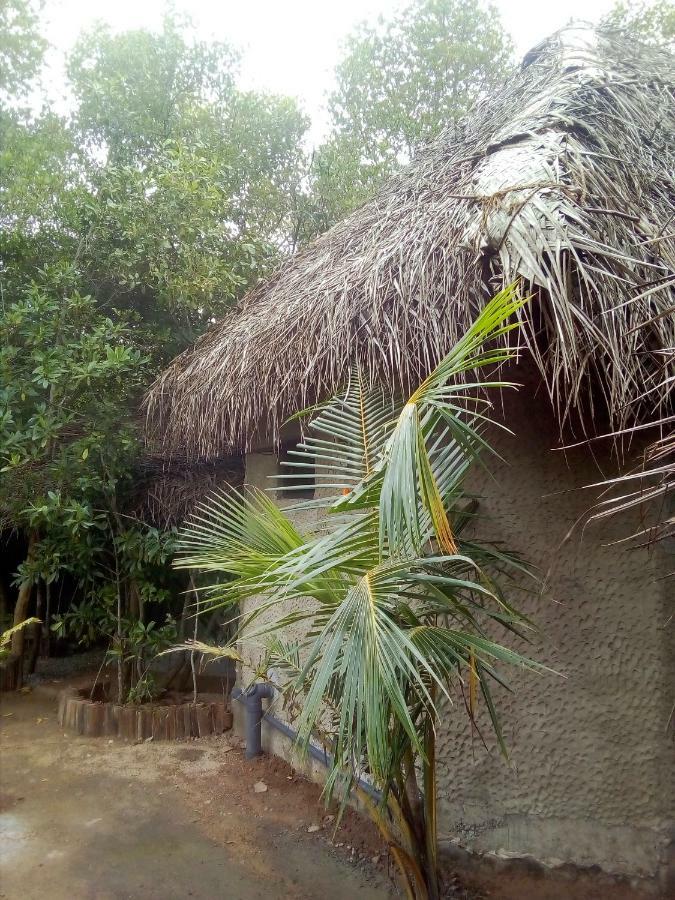 Mermaid Cabana And Tree Houses Tangalle Exteriör bild