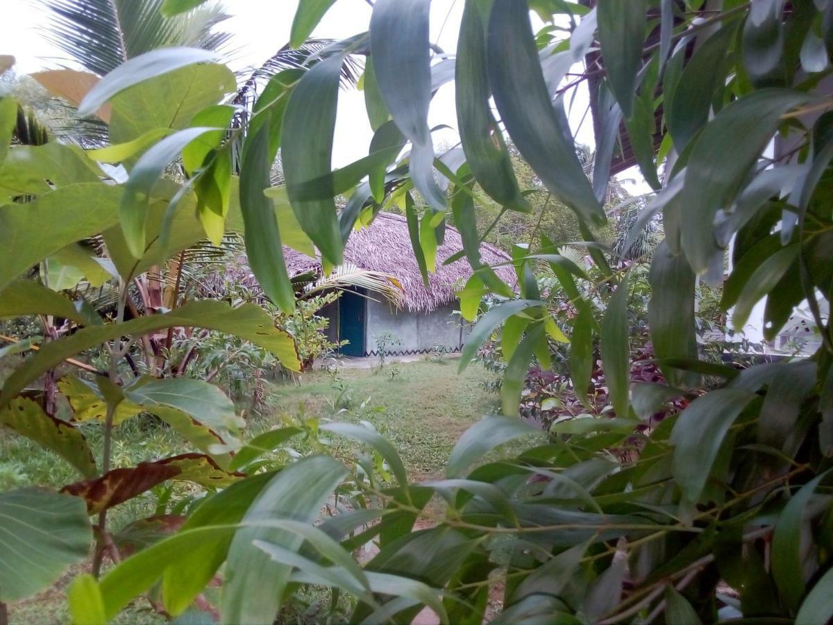 Mermaid Cabana And Tree Houses Tangalle Exteriör bild