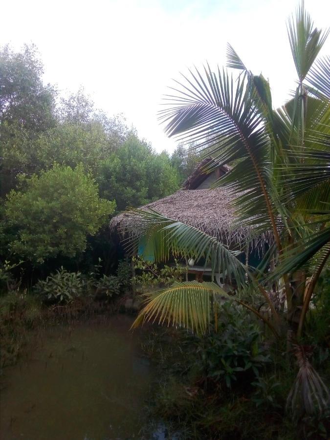 Mermaid Cabana And Tree Houses Tangalle Exteriör bild