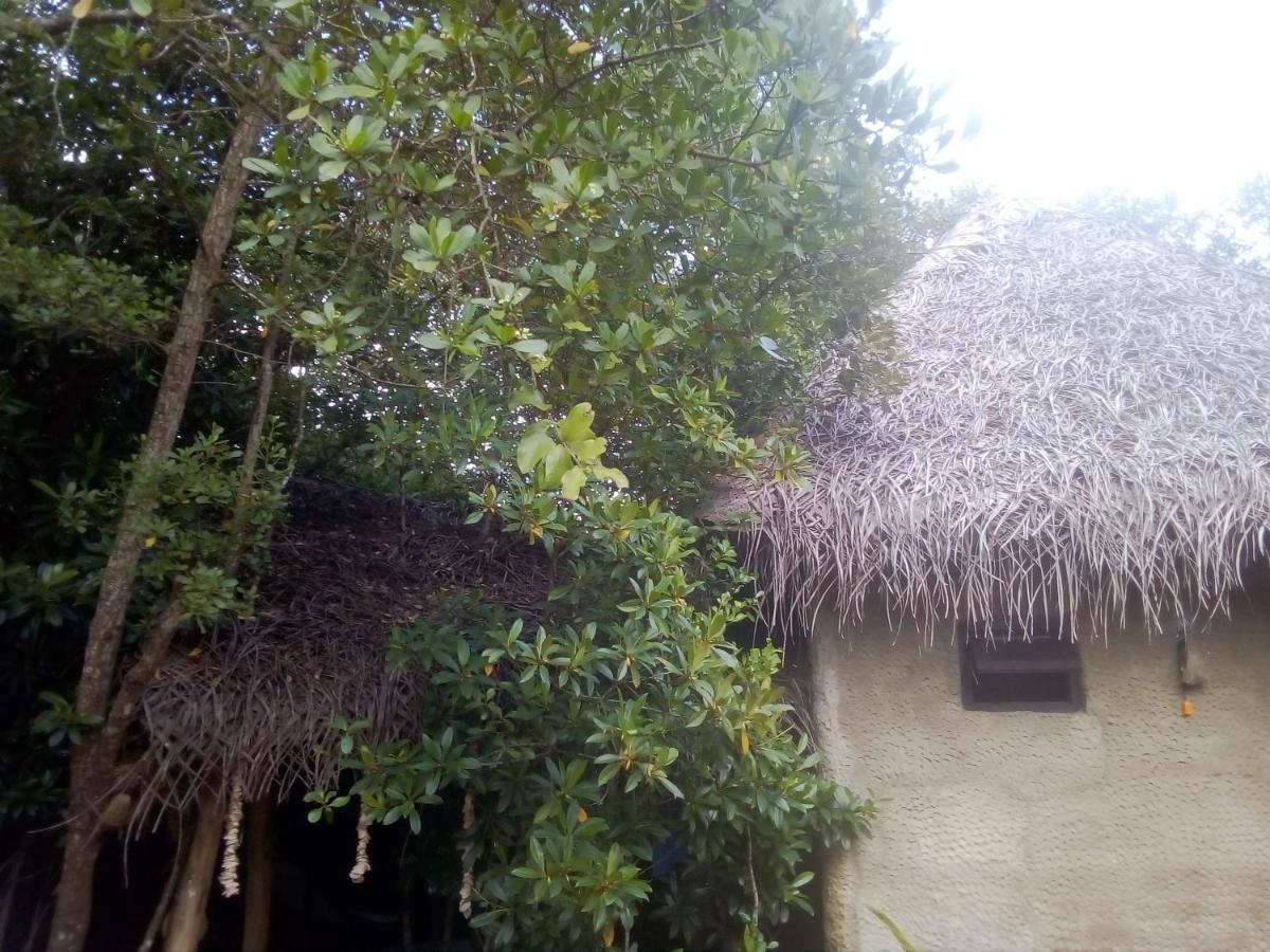 Mermaid Cabana And Tree Houses Tangalle Exteriör bild