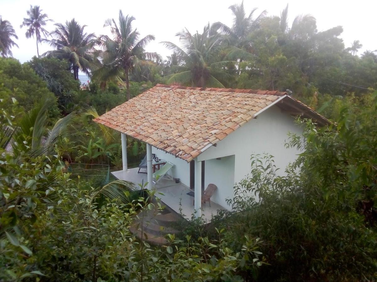 Mermaid Cabana And Tree Houses Tangalle Exteriör bild