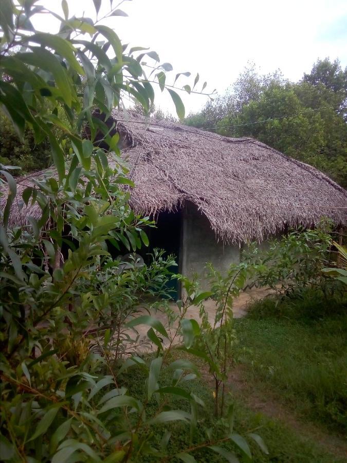 Mermaid Cabana And Tree Houses Tangalle Exteriör bild