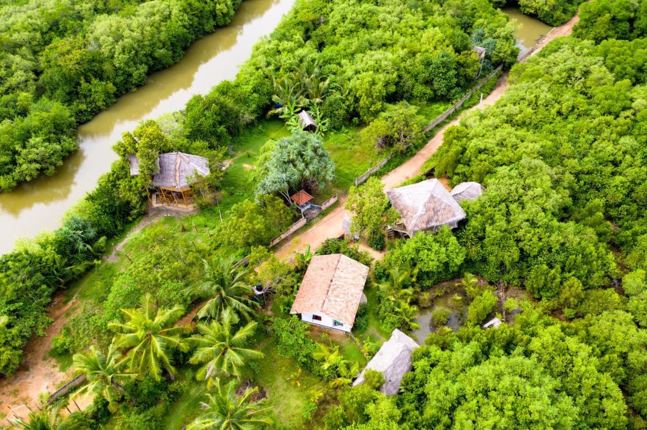 Mermaid Cabana And Tree Houses Tangalle Exteriör bild