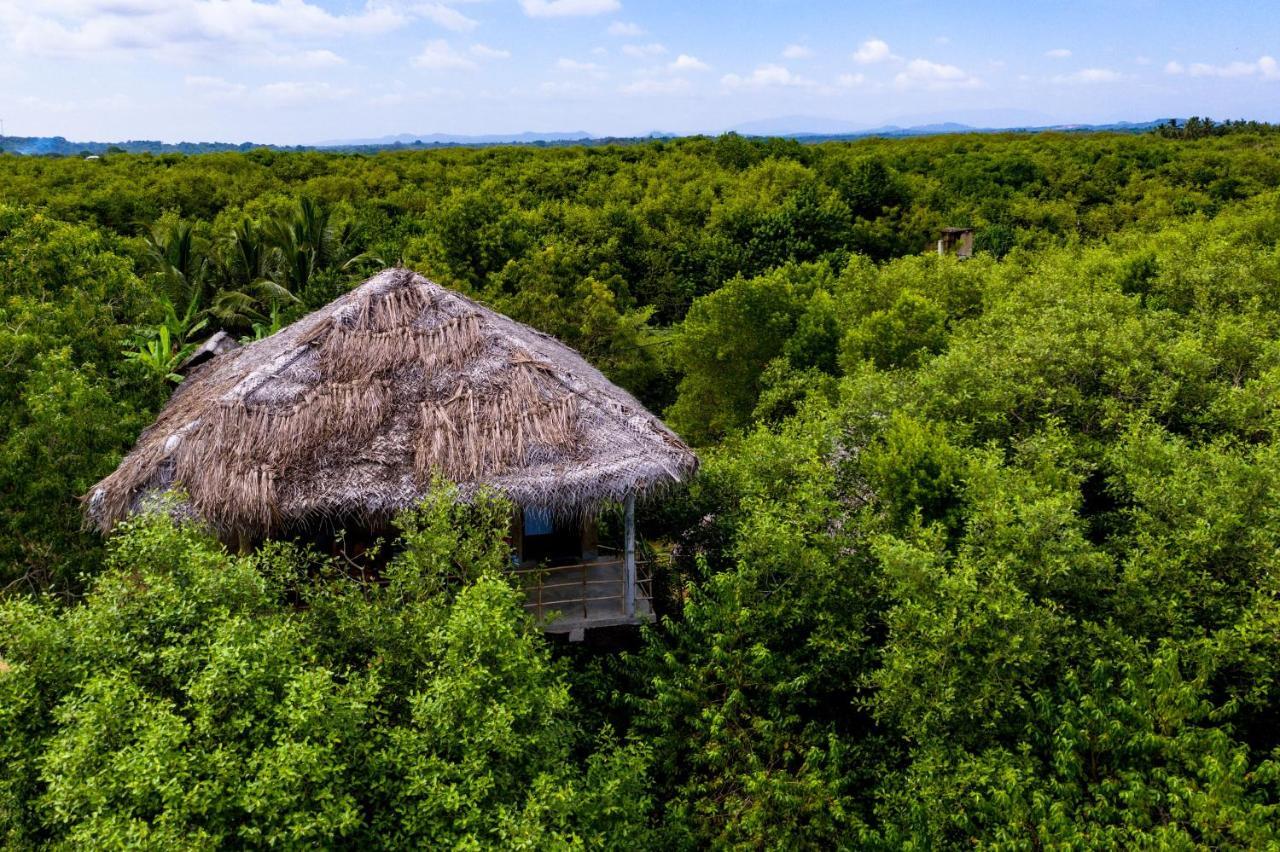 Mermaid Cabana And Tree Houses Tangalle Exteriör bild