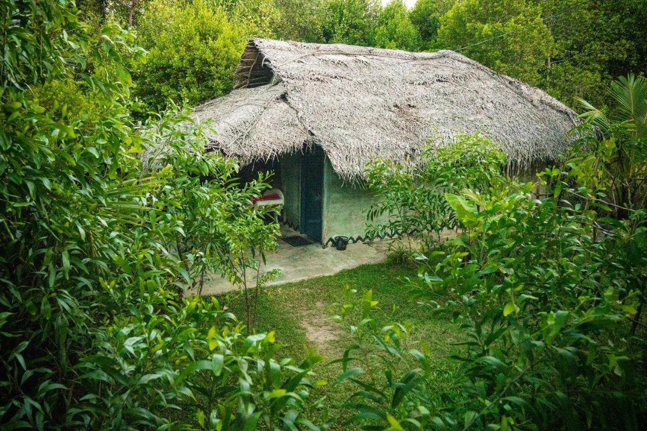 Mermaid Cabana And Tree Houses Tangalle Exteriör bild