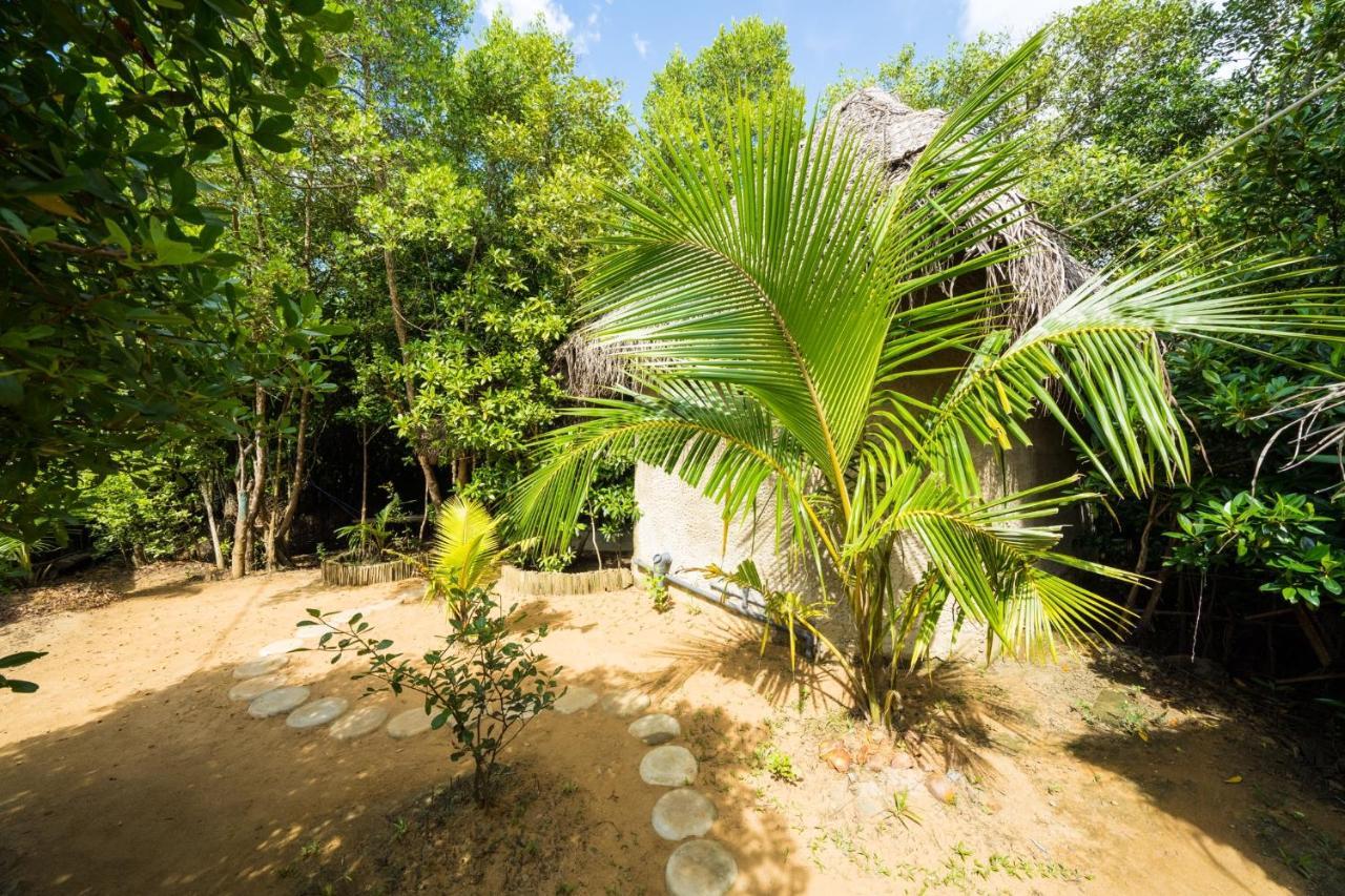 Mermaid Cabana And Tree Houses Tangalle Exteriör bild